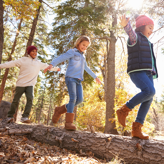 Kids walking on log in forrest